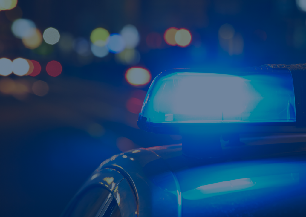 police auto fraud team