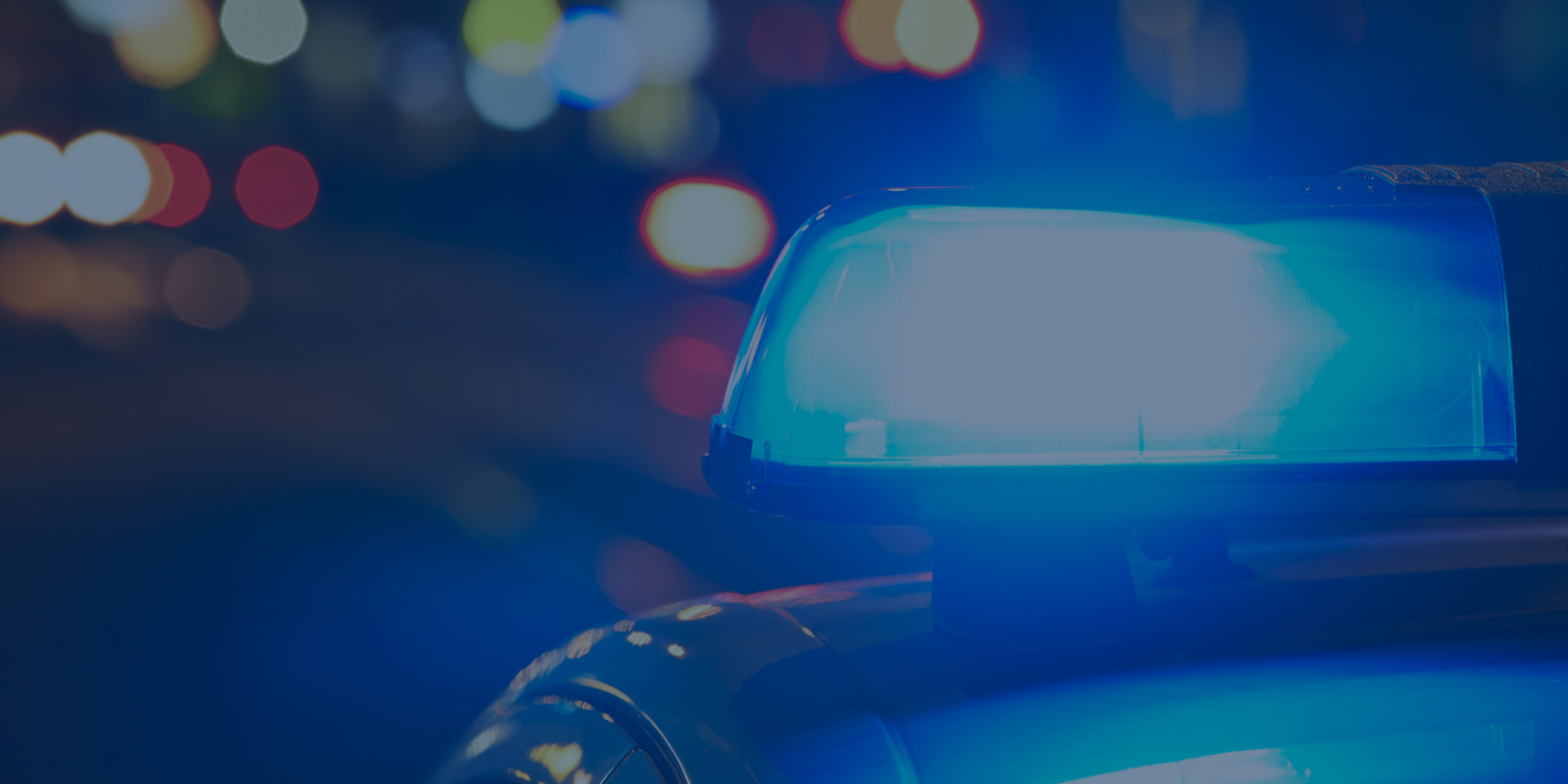 police auto fraud team