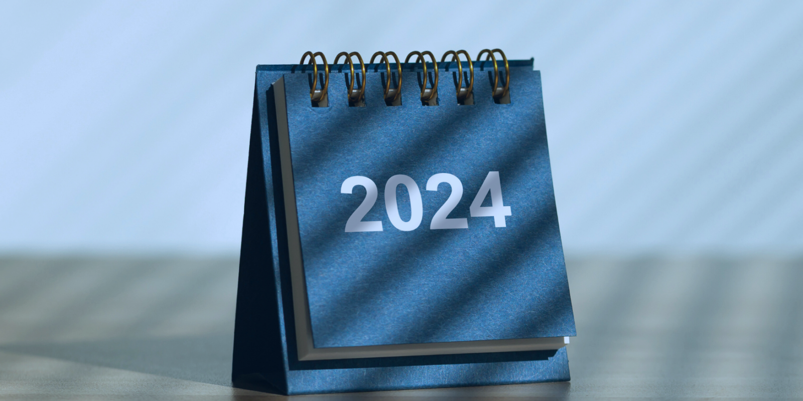 Fraud Predictions 2024