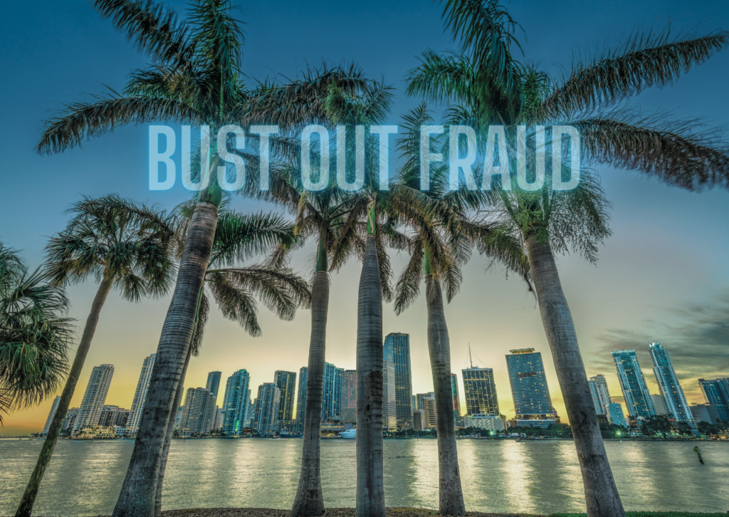 bust out fraud